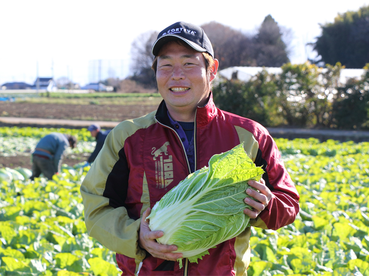 結球初期のアブラムシ防除に！　白菜生産を支援するトランスフォーム™ フロアブル #アブラムシ #防除 #結菜